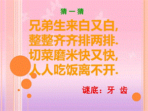 小学体育健康ppt课件《爱护牙齿从小做起》.ppt