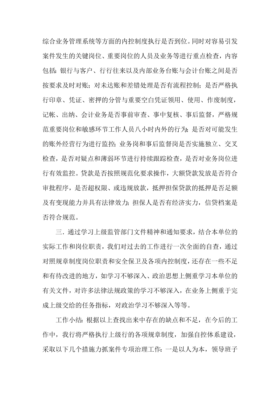 银行支行案件专项治理工作总结.doc_第2页