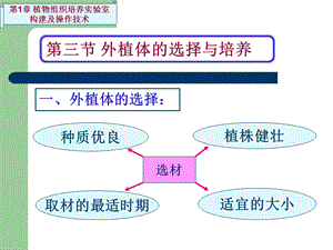 外植体的选择与培养课件.ppt