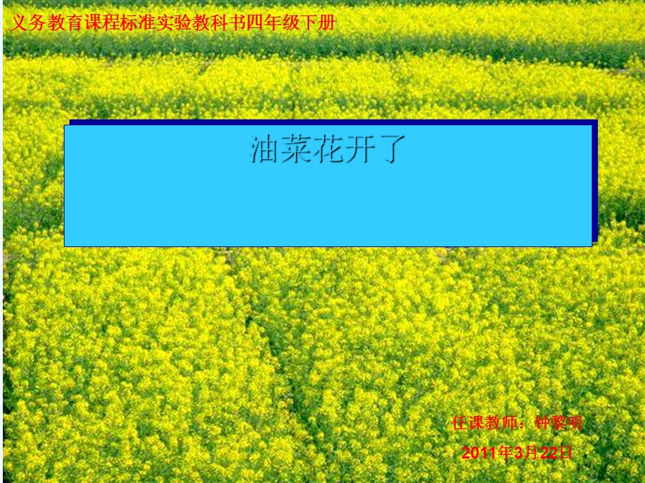 小学科学四年级下册《油菜花开了》课件.ppt_第1页