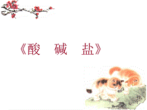 酸碱盐复习课课件.ppt