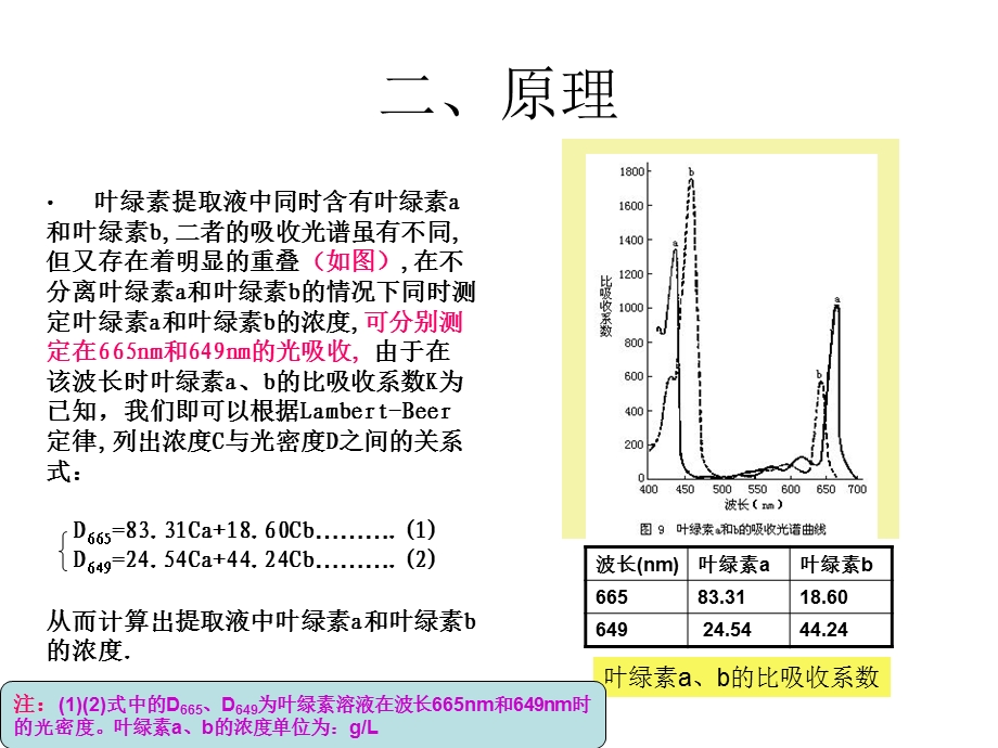 实验三叶绿素含量的测定等课件.pptx_第3页