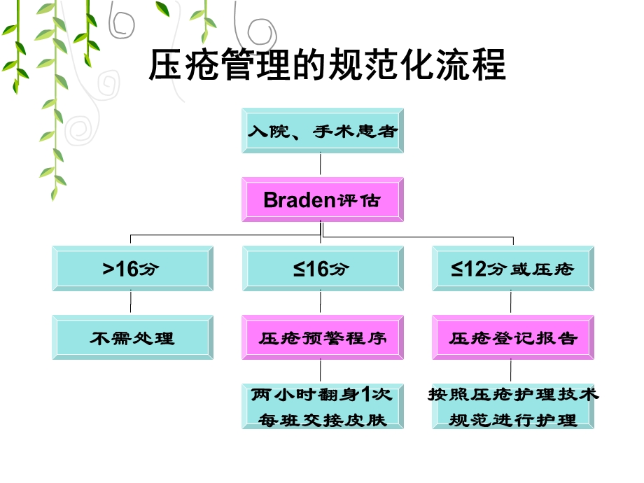 压疮小组工作汇报教学ppt课件.ppt_第3页