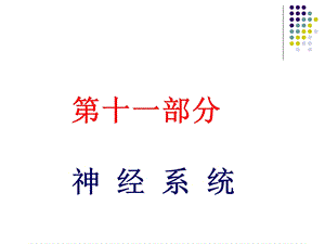 解剖生理学神经系统课件.ppt