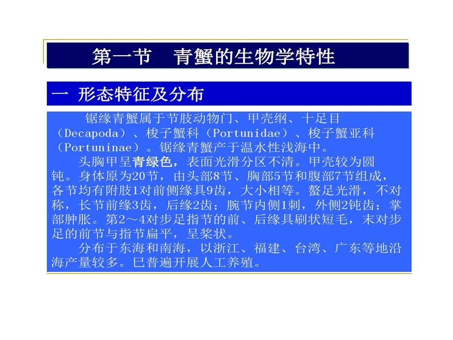 锯缘青蟹养殖剖析课件.ppt_第3页