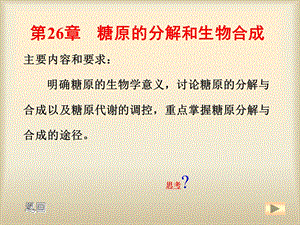 糖原的合成和分解课件.ppt