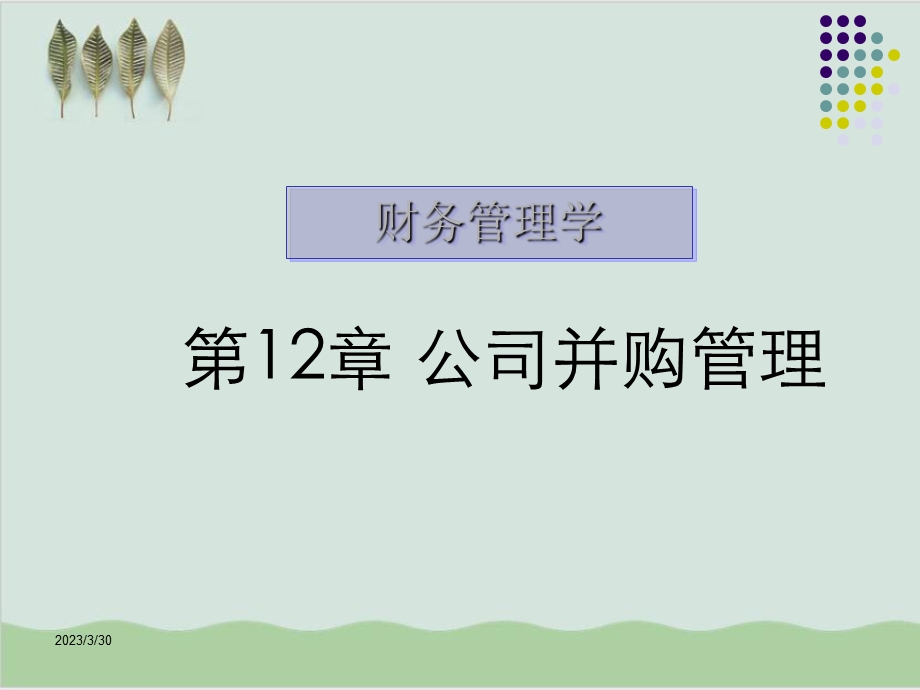 公司并购管理的财务管理课件.ppt_第1页