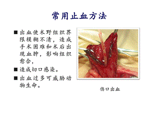 兽医外科学第23章手术基本操作课件.pptx