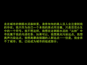 北京龙公馆营销策划报告课件.ppt