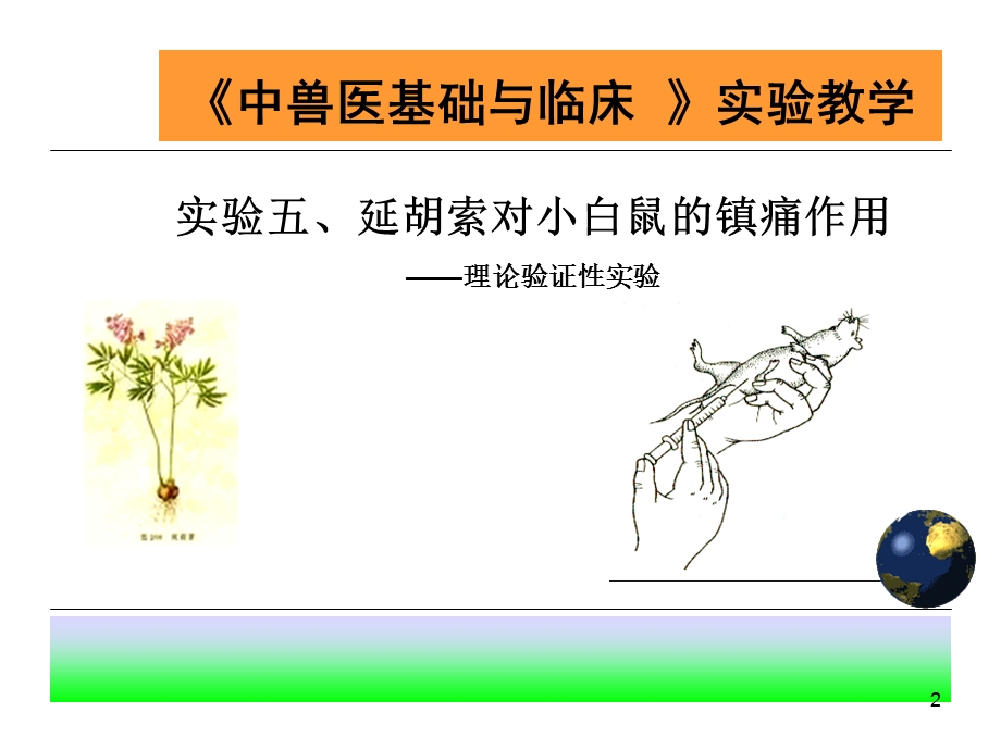 实验-延胡索对小白鼠的镇痛作用学习ppt课件.ppt_第2页