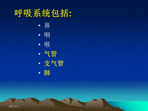 呼吸系统常见肿瘤课件.ppt