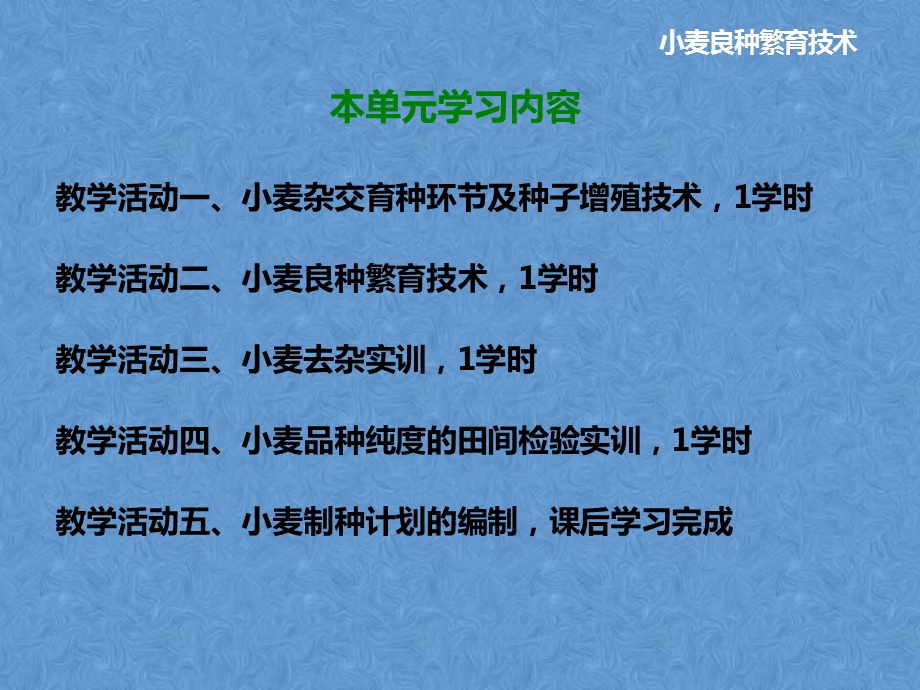 小麦良种繁育技术课件.ppt_第3页