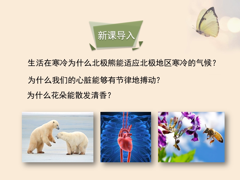 北师大版七年级生物上册2-1《生物学是探索生命的科学》讲义课件.ppt_第3页