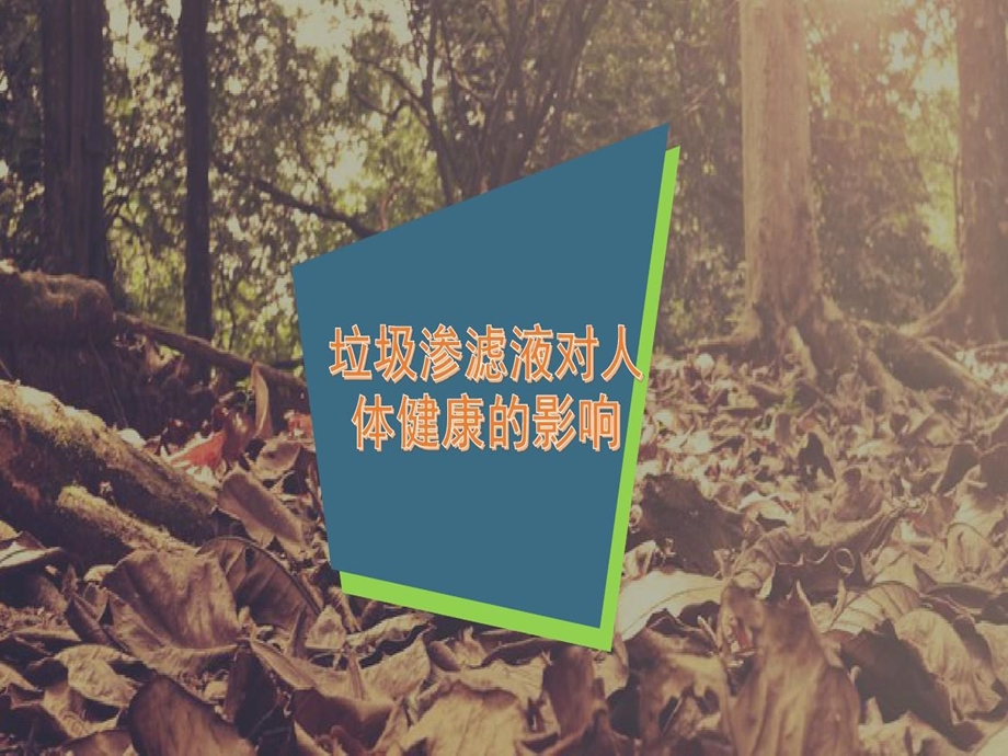 垃圾渗滤液对人体健康的影响课件.ppt_第2页