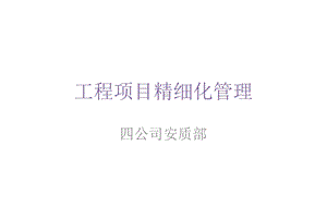 精细化安全质量管理幻灯片课件.ppt