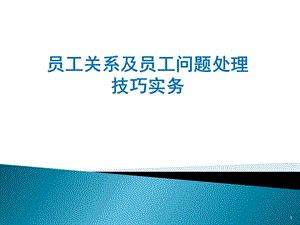 员工关系及员工问题处理技巧实务教材课件.ppt