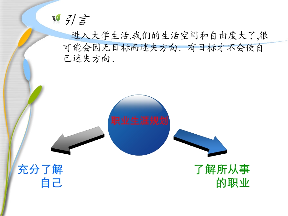 会计职业生涯规划课件.ppt_第2页