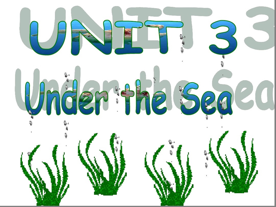 人教版选修7Unit3undertheseaReading课件.ppt_第1页