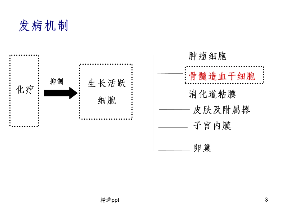 化疗后骨髓抑制的处理与预防课件.ppt_第3页