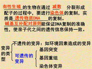 《基因突变和基因重组》教育ppt课件.ppt