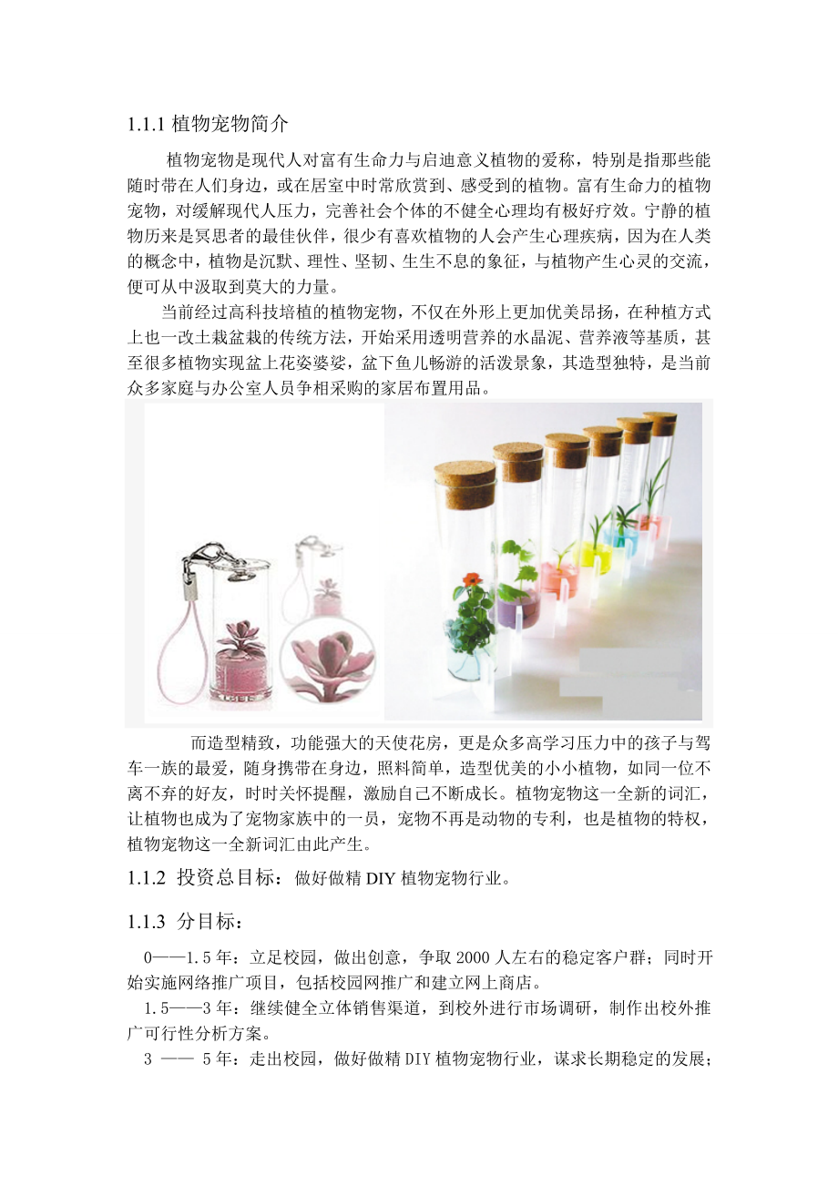 叮当DIY植物宠物店创业策划书1.doc_第3页