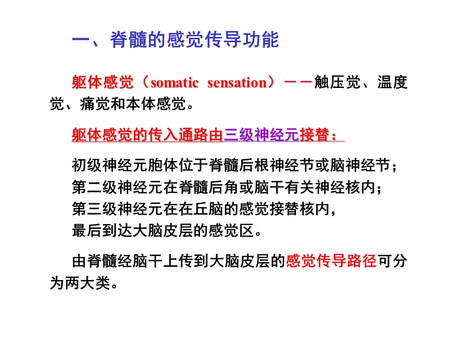 《神经系统的感觉分析功能》课件.ppt_第3页