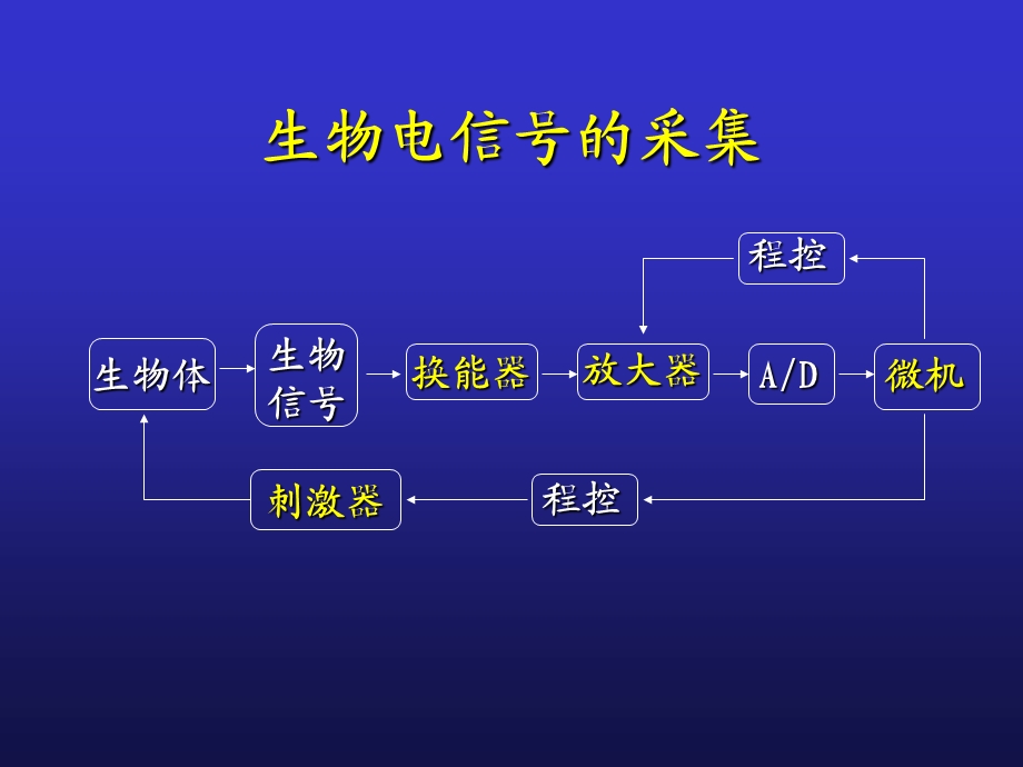 A神经干动作电位课件.ppt_第2页