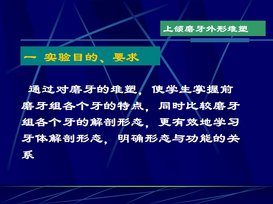 四上颌磨牙外形雕塑课件.ppt_第2页