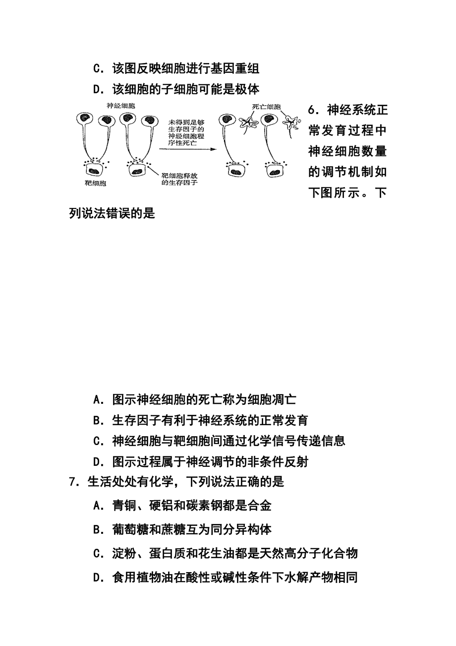 广东省阳江市阳东县阳东一中、广雅中学高三第一次联考理科综合试题及答案.doc_第3页