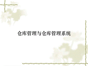 仓库管理与仓库管理系统课件.ppt