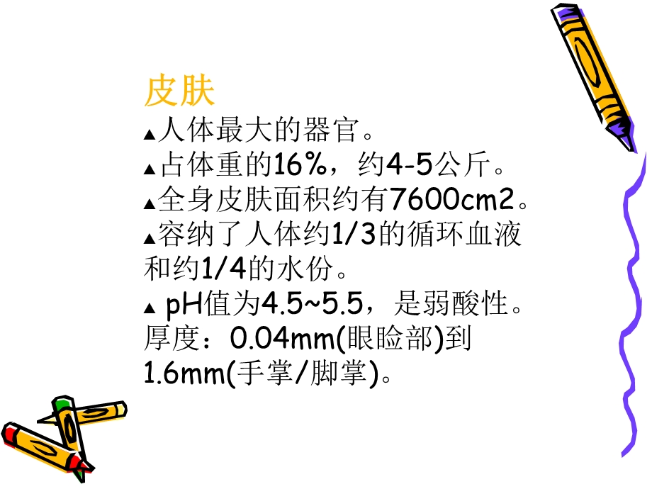 伤口基础知识及湿性愈合理论课件.ppt_第3页