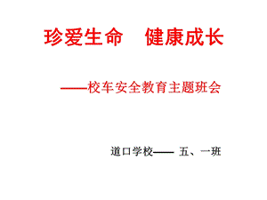 《珍爱生命健康成长》主题班会课件.ppt