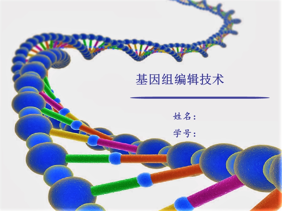 CRISPR基因编辑技术课件.ppt_第1页