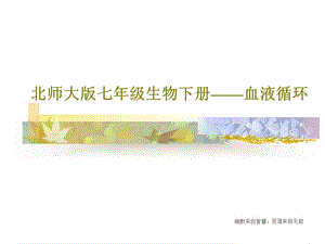 北师大版七年级生物下册血液循环课件.ppt