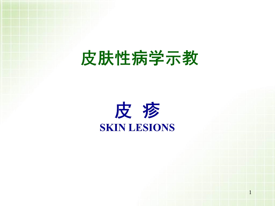 皮肤病的皮疹课件.ppt_第1页