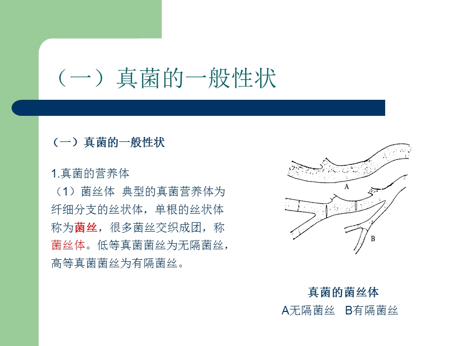 植物病害基础知识102汇编课件.ppt_第2页