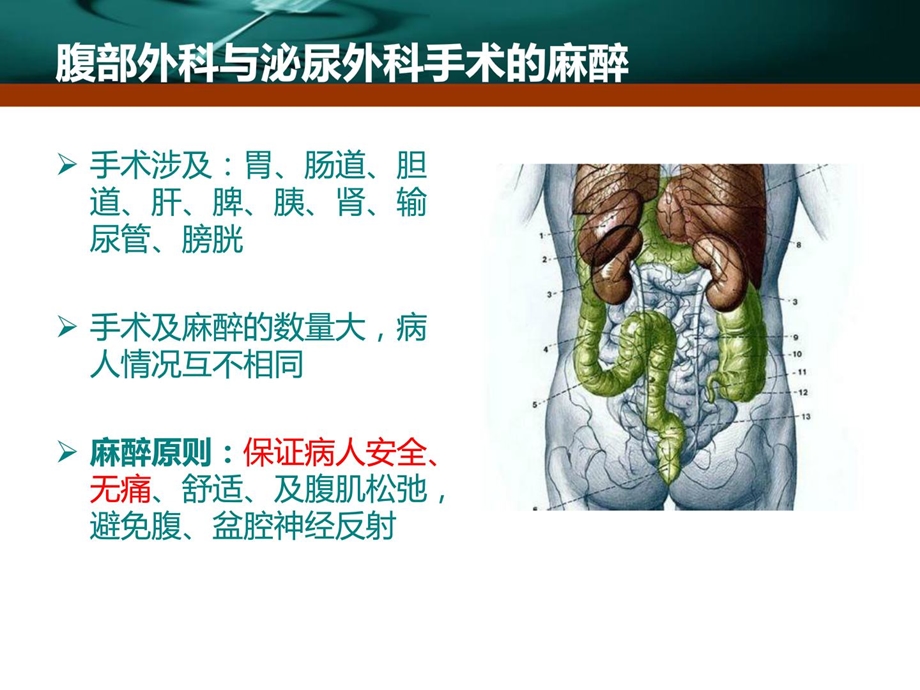 第23章腹部外科与泌尿外科手术麻醉课件.ppt_第2页