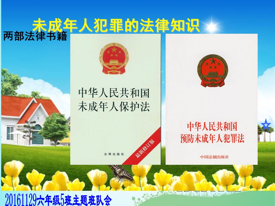 《预防未成年人犯罪》主题班会课件.ppt_第2页