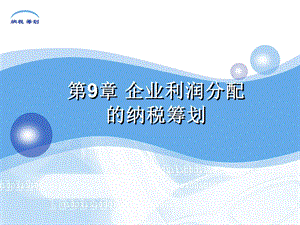 企业利润分配的纳税筹划培训ppt课件.ppt