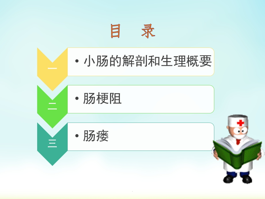 小肠疾病的护理ppt课件.ppt_第2页