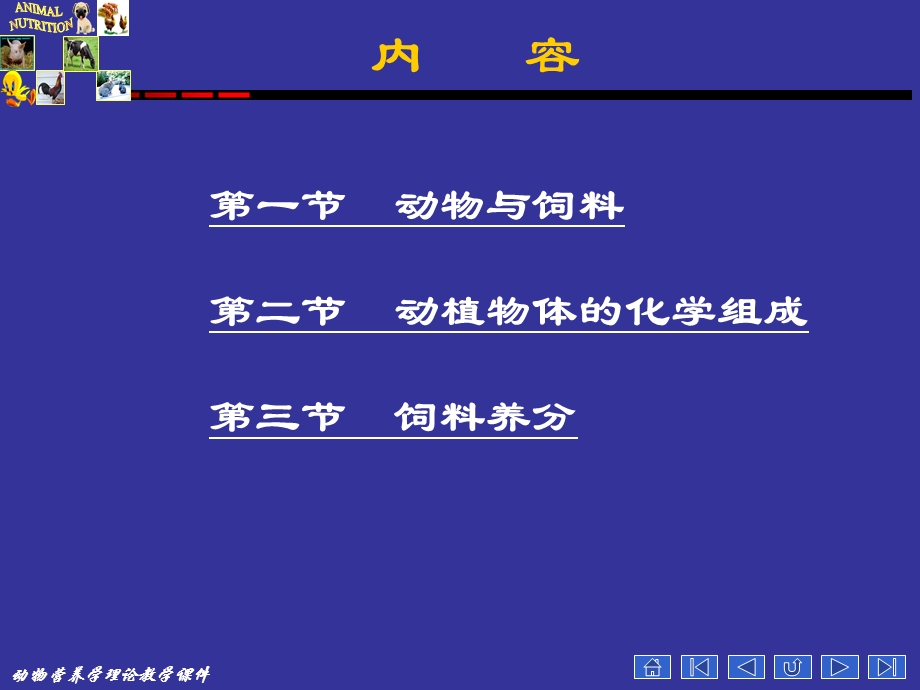 动物营养学--动物与饲料的化学组成课件.pptx_第3页