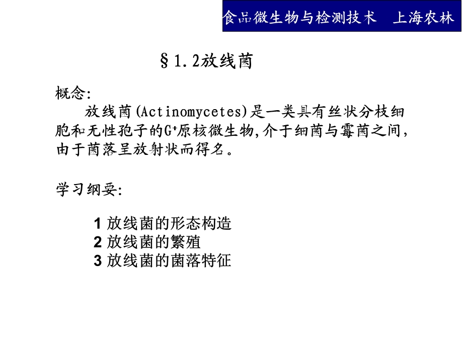 放线菌酵母菌霉菌病毒课件.ppt_第2页