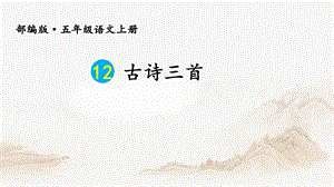 古诗三首示儿课件.ppt