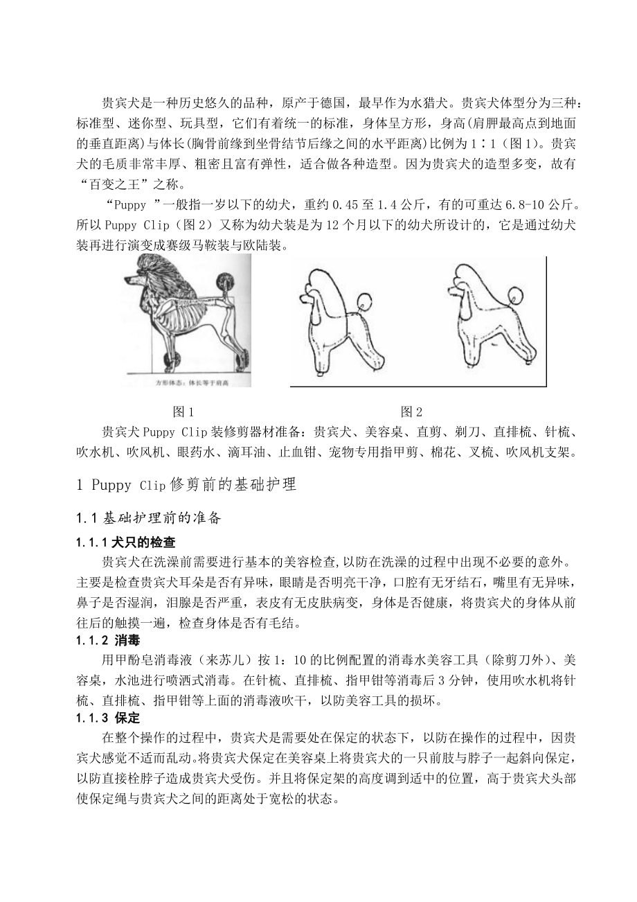 贵宾犬Puppy装的修剪流程毕业论文.doc_第1页