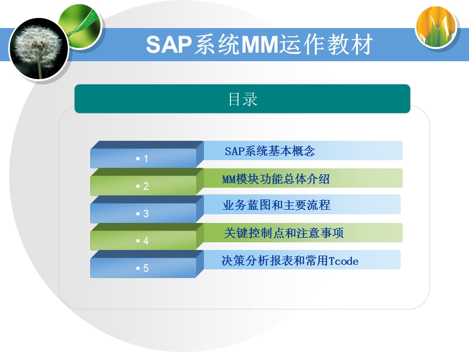 SAP-MM模块培训教材课件.ppt_第2页