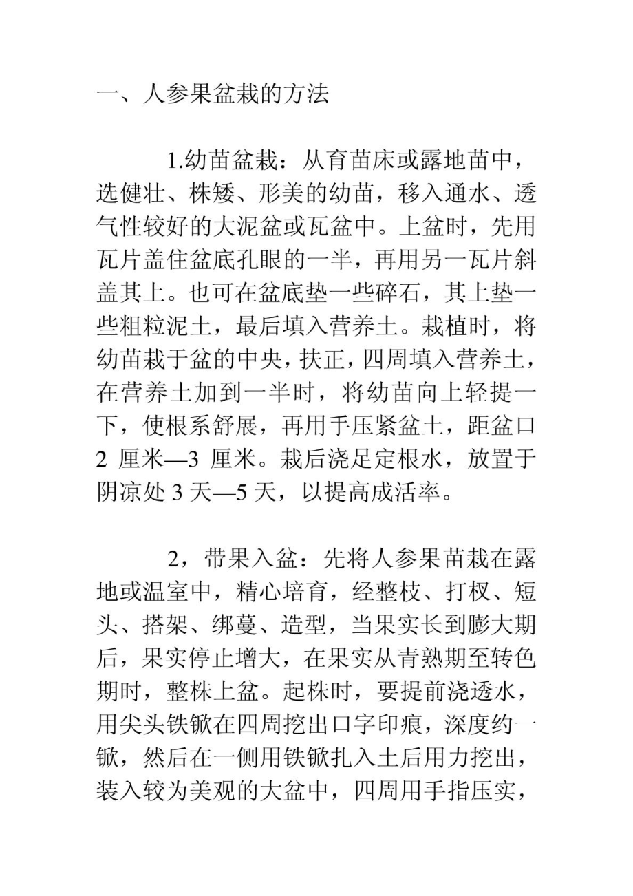 盆栽人参果.doc_第1页