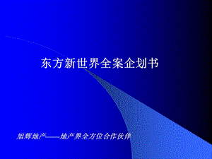 东方新世界全案企划书课件.ppt