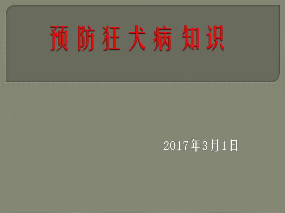 预防狂犬病主题班会-课件.pptx_第1页