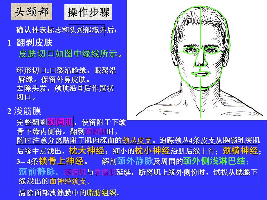 局解操作头颈部课件.ppt_第1页