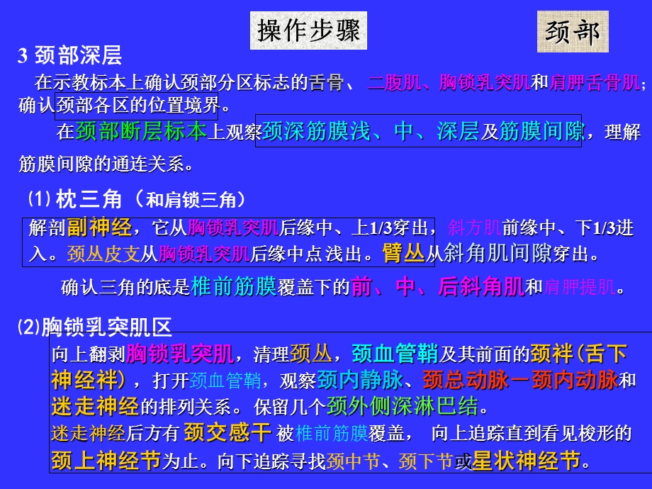 局解操作头颈部课件.ppt_第2页